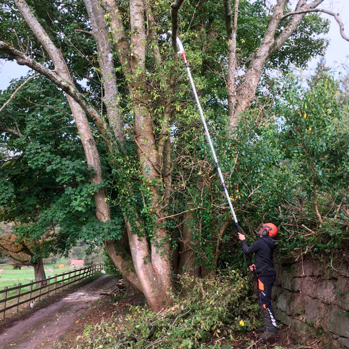 Stallion shop pole saw